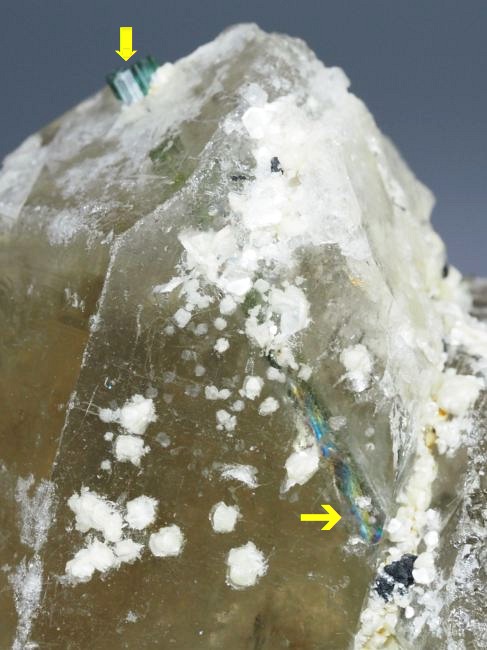 �E�I�[�^�������g���}�����ƃV�g���� �u���W���Y 342g (26)