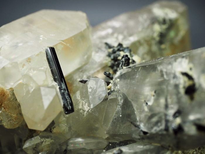 �u���b�N�g���}�������� �u���W���Y 628g (45)