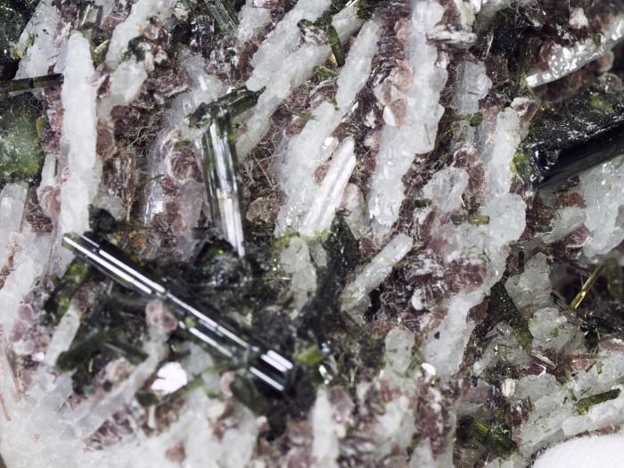 �O���[���g���}�������� �u���W���Y 288g (47)