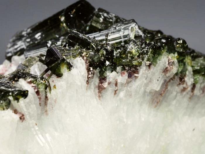 �O���[���g���}�������� �u���W���Y 288g (47)