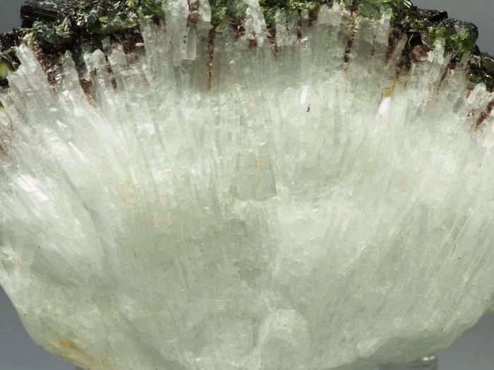 �O���[���g���}�������� �u���W���Y 288g (47)