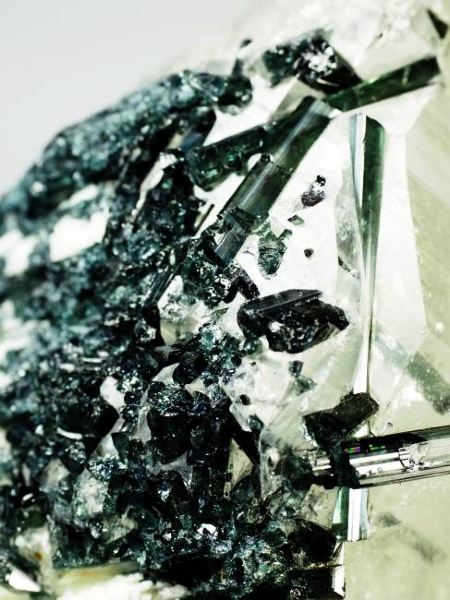 �C���f�B�S���C�g�g���}���� �u���W���Y 736g (49)