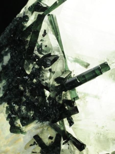 �C���f�B�S���C�g�g���}���� �u���W���Y 736g (49)