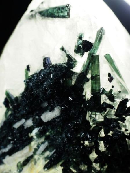 �C���f�B�S���C�g�g���}���� �u���W���Y 736g (49)