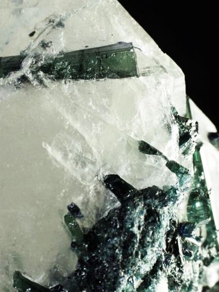 �C���f�B�S���C�g�g���}���� �u���W���Y 736g (49)