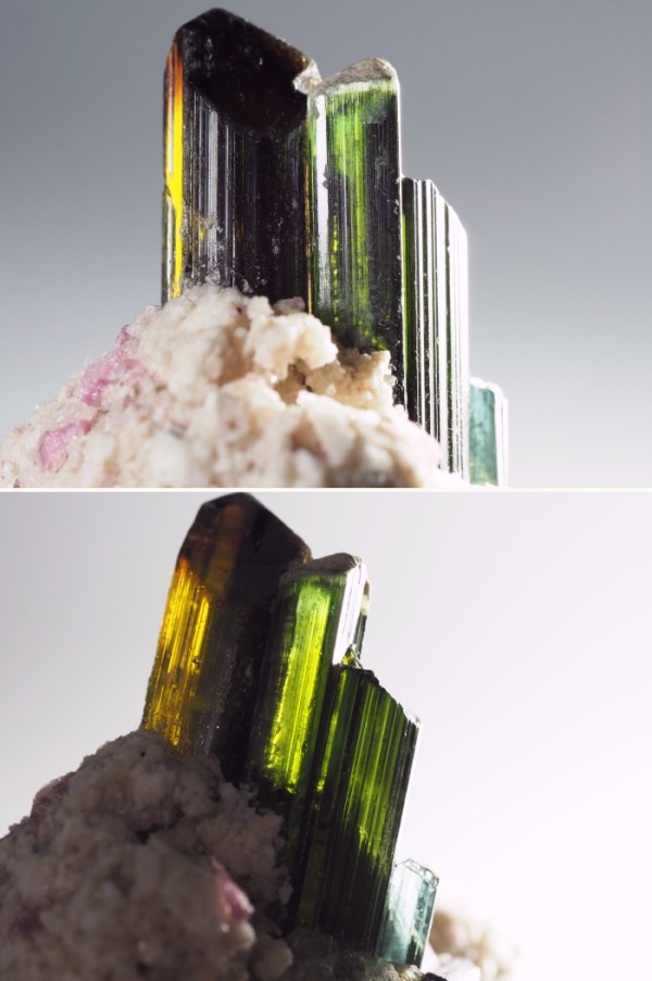 �T�F����g���}�������� �u���W���Y 258g (50)