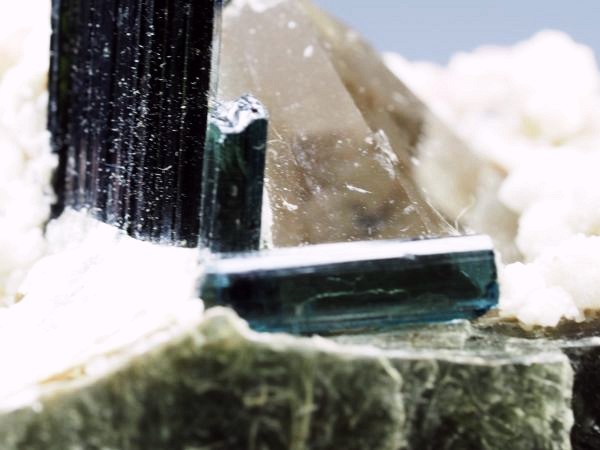 �T�F����g���}�������� �u���W���Y 258g (50)