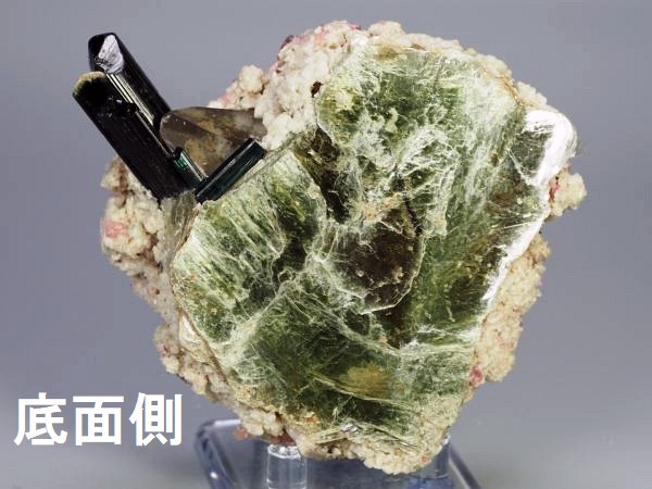 �T�F����g���}�������� �u���W���Y 258g (50)