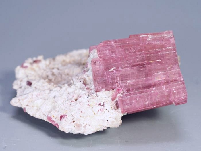 �s���N�g���}�������� �u���W���Y 90.4g (68)