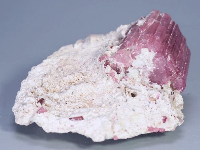 �s���N�g���}�������� �u���W���Y 90.4g (68)