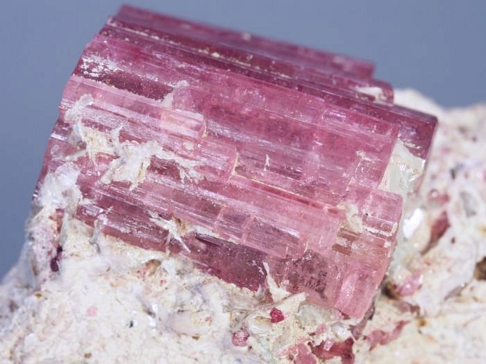 �s���N�g���}�������� �u���W���Y 90.4g (68)