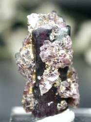 oCJ[g}<br> uWY 20g (54)
