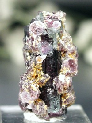 oCJ[g} uWY 20g (54)