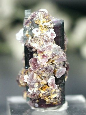 oCJ[g} uWY 20g (54)