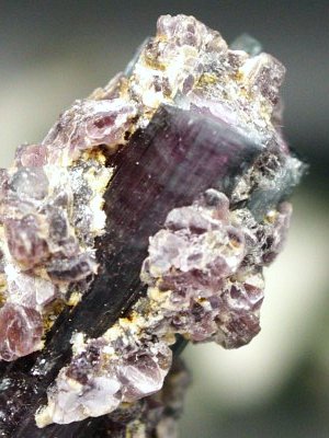 oCJ[g} uWY 20g (54)