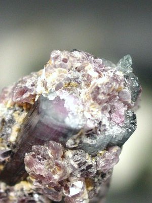 oCJ[g} uWY 20g (54)