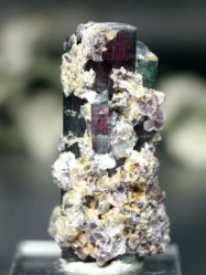 oCJ[g}<br> uWY 25g (55)