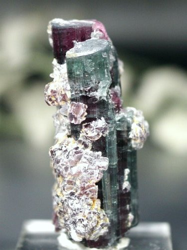 oCJ[g} uWY 25g (55)