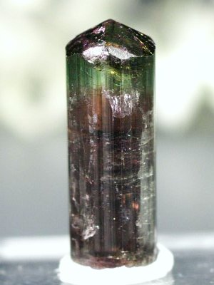 oCJ[g} uWY 8.7g (60)