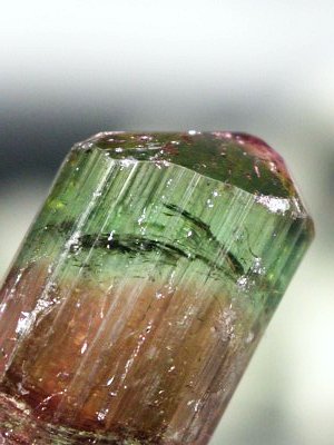 oCJ[g} uWY 6.6g (65)