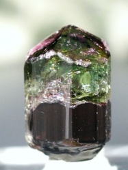 oCJ[g}<br> uWY 9.6g (66)