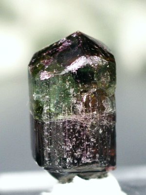 oCJ[g} uWY 9.6g (66)