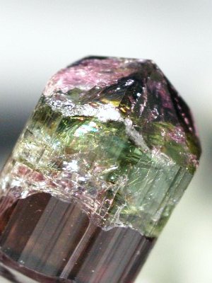 oCJ[g} uWY 9.6g (66)