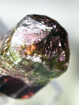 oCJ[g} uWY 9.6g (66)