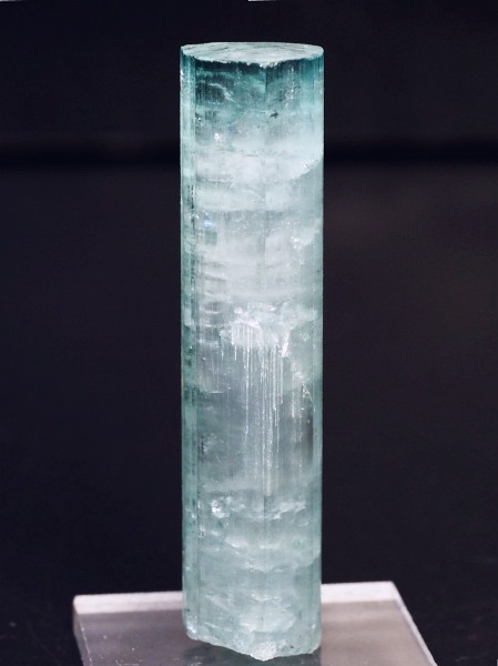 �V�[�t�H�[���g���}�������� �A�t�K�j�X�^���Y 18.7g (69)