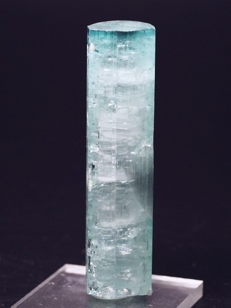 �V�[�t�H�[���g���}�������� �A�t�K�j�X�^���Y 18.7g (69)