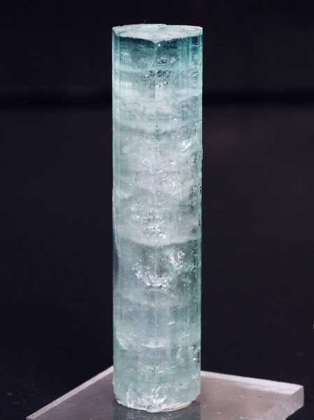 �V�[�t�H�[���g���}�������� �A�t�K�j�X�^���Y 18.7g (69)