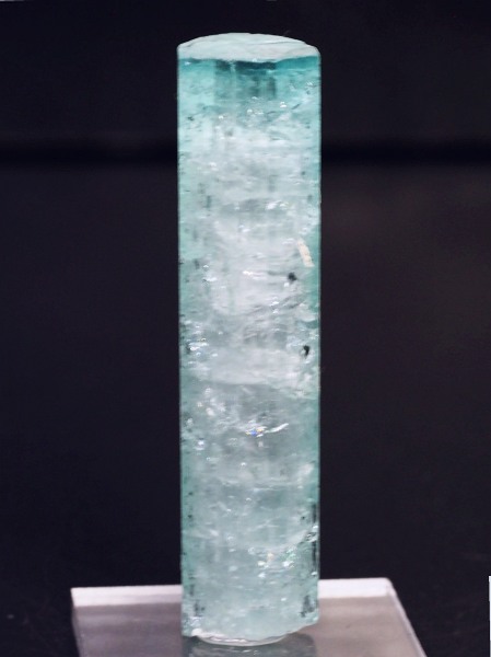 �V�[�t�H�[���g���}�������� �A�t�K�j�X�^���Y 18.7g (69)