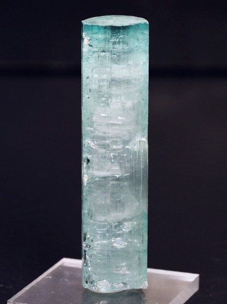 �V�[�t�H�[���g���}�������� �A�t�K�j�X�^���Y 18.7g (69)