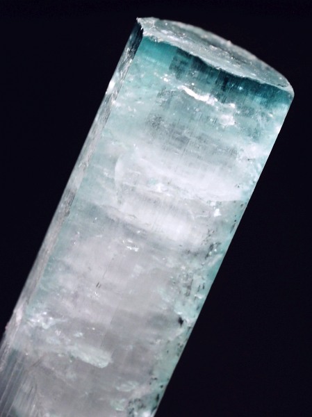 �V�[�t�H�[���g���}�������� �A�t�K�j�X�^���Y 18.7g (69)