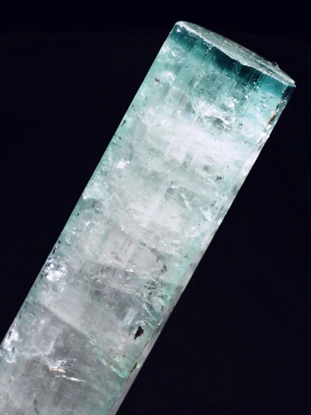 �V�[�t�H�[���g���}�������� �A�t�K�j�X�^���Y 18.7g (69)