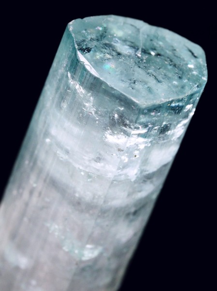 �V�[�t�H�[���g���}�������� �A�t�K�j�X�^���Y 18.7g (69)