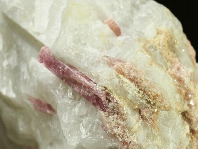 �s���N�g���}�������� �u���W���Y 205g (74)