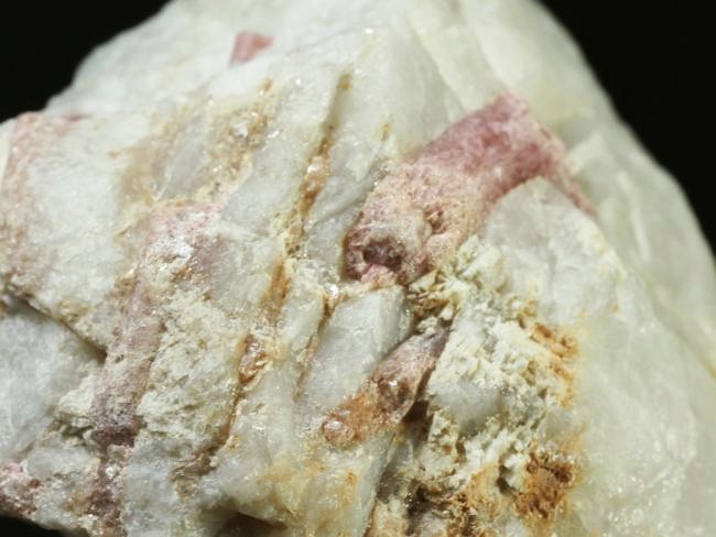 �s���N�g���}�������� �u���W���Y 205g (74)