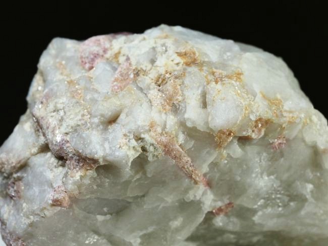 �s���N�g���}�������� �u���W���Y 205g (74)