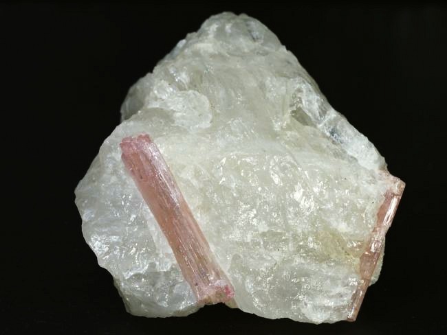 �s���N�g���}�������� �u���W���Y 242g (75)