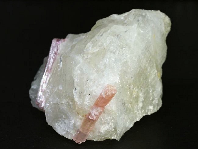 �s���N�g���}�������� �u���W���Y 242g (75)