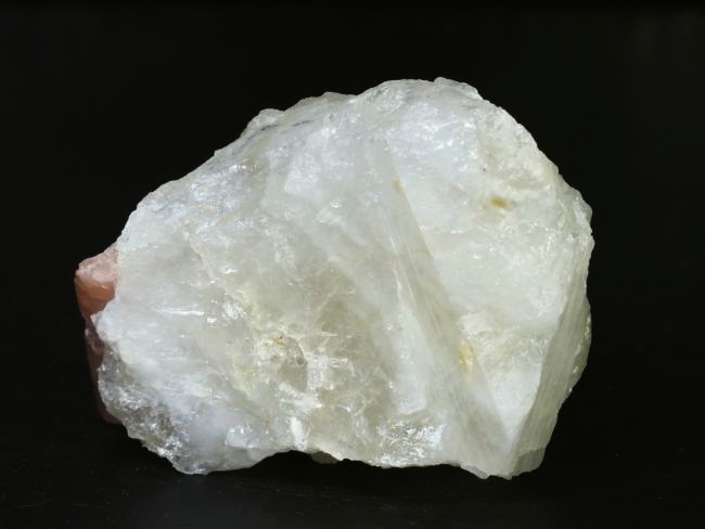 �s���N�g���}�������� �u���W���Y 242g (75)