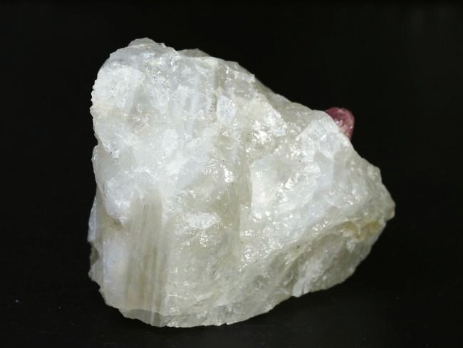 �s���N�g���}�������� �u���W���Y 242g (75)