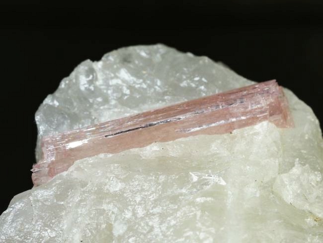 �s���N�g���}�������� �u���W���Y 242g (75)