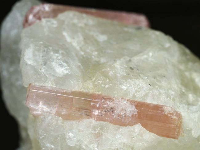 �s���N�g���}�������� �u���W���Y 242g (75)