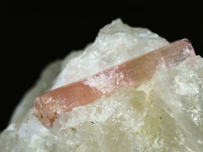 �s���N�g���}�������� �u���W���Y 242g (75)