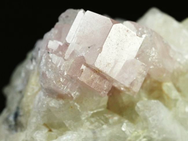 �s���N�g���}�������� �u���W���Y 99g (68)