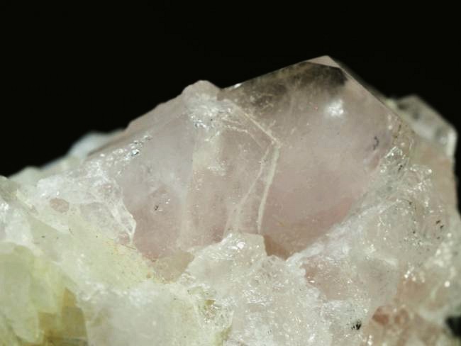 �s���N�g���}�������� �u���W���Y 99g (68)