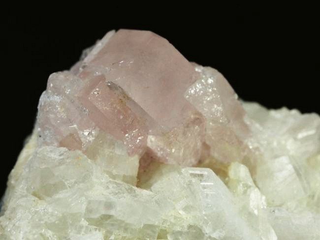 �s���N�g���}�������� �u���W���Y 99g (68)