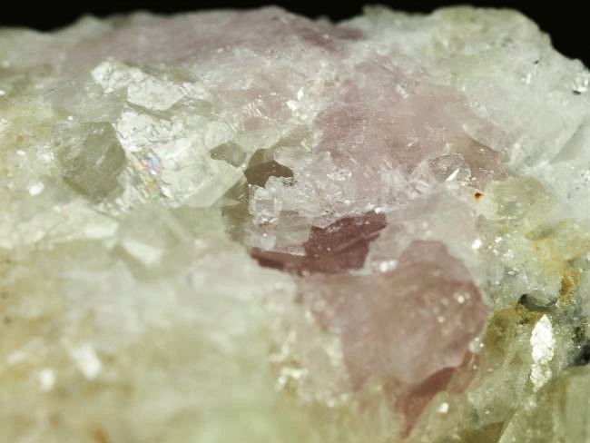 �s���N�g���}�������� �u���W���Y 99g (68)